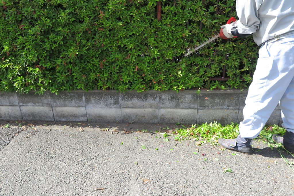 生垣の施工をする作業員