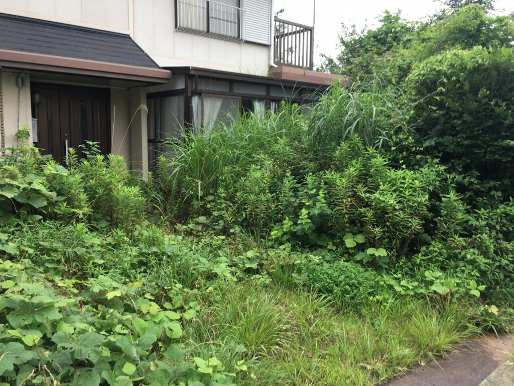 空き家の前に広がる雑草