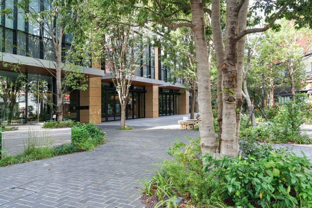 オフィスの前に生える木々
