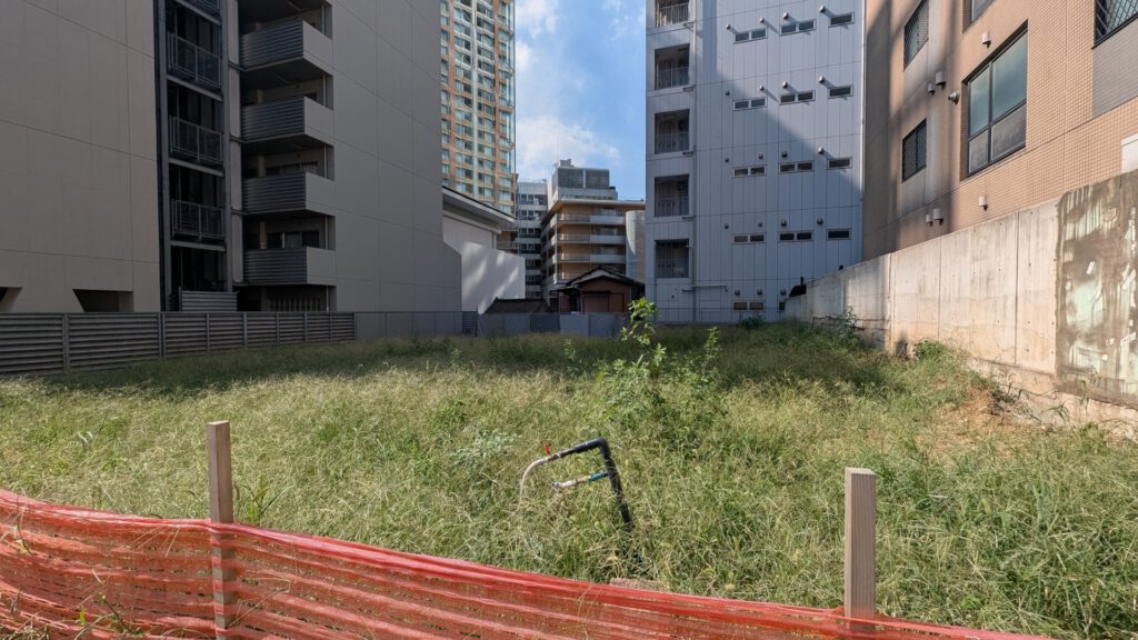 空き地に無造作に生える雑草